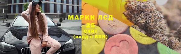 индика Балабаново