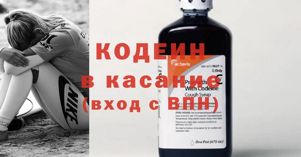 индика Балабаново