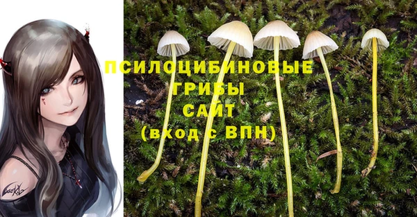 индика Балабаново