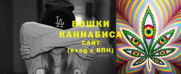 гидра Осинники