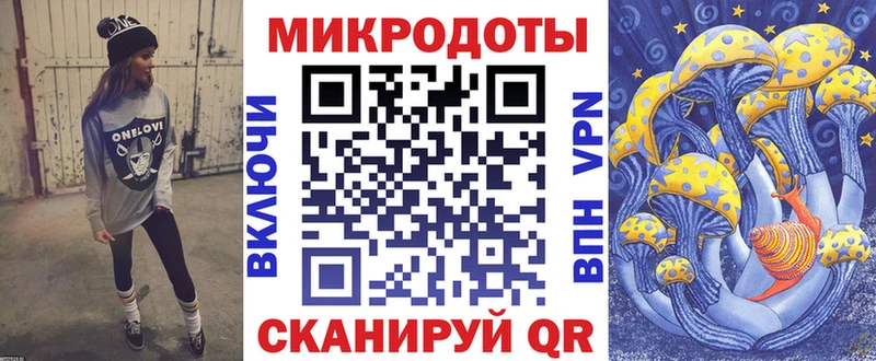 как найти закладки  Гатчина  hydra ссылка  Галлюциногенные грибы Psilocybe 